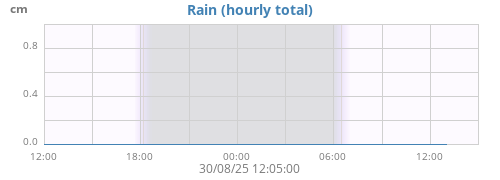 dayrain